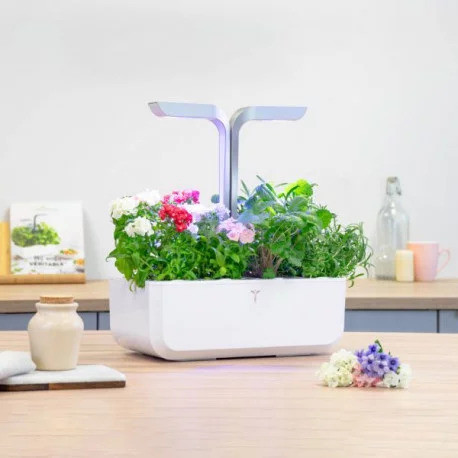 Véritable Lingot Flox - plaménka